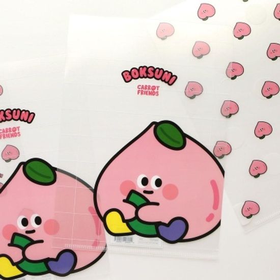 핑크풋 복수니홀더화일