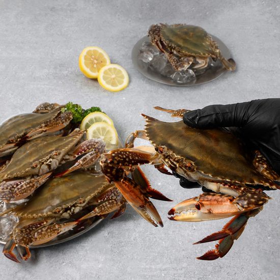 국내산 연평도 급냉 무침용 손질 꽃게 1.5kg