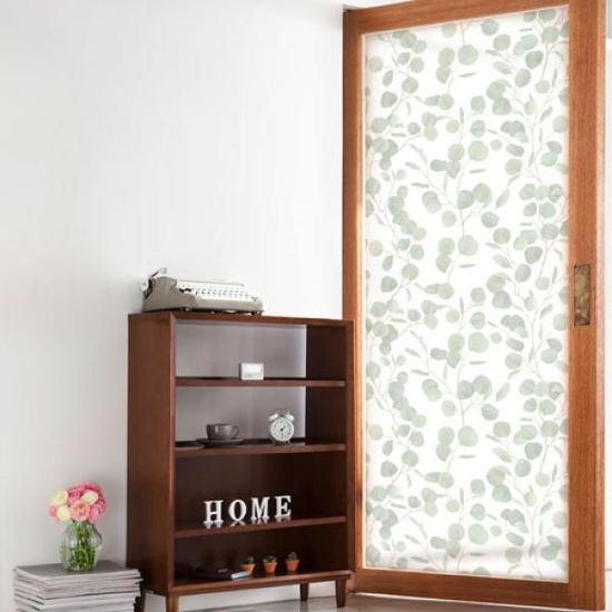 eh577-유리문시트지_유칼립투스