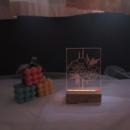 카네이션 아크릴 무드등 만들기 패키지 DIY