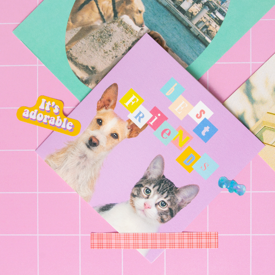 쏘슬러시 카드 6종