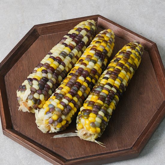 쪄서가는 쫀득탱글 알록이옥수수 특품 20개