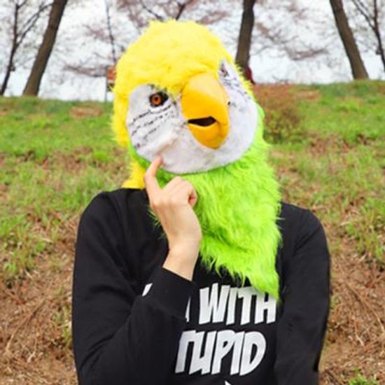 입이 움직이는 동물가면 (앵무새)