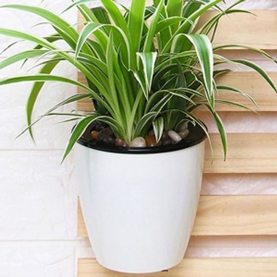 실내정원 자동급수 벽걸이 화 WBD9FAA