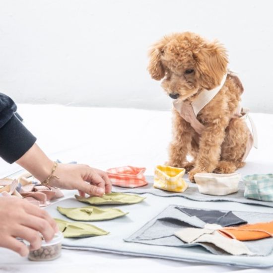 케이블랑 노즈워크 담요 SET(담요+옵션5종)