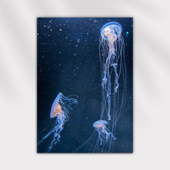인테리어 포스터, 춤추는 바다 해파리8종 / A2