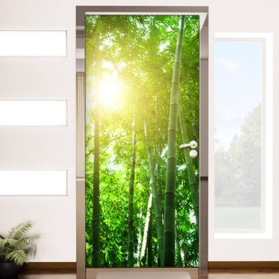 dc509-대나무사이햇빛_현관문시트지