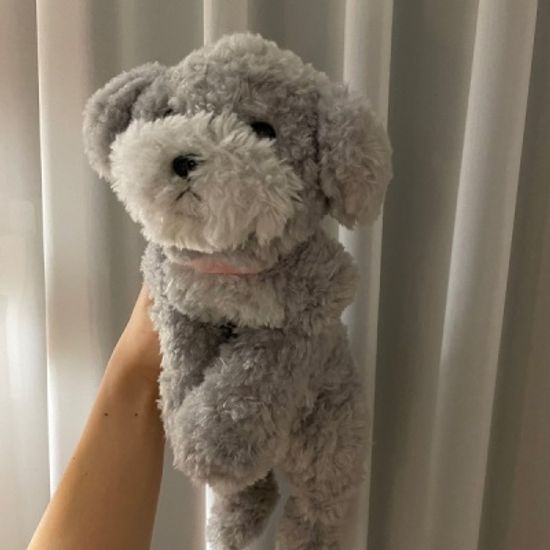 무릎인형★강아지 토이푸들 S사이즈(히자완꼬)