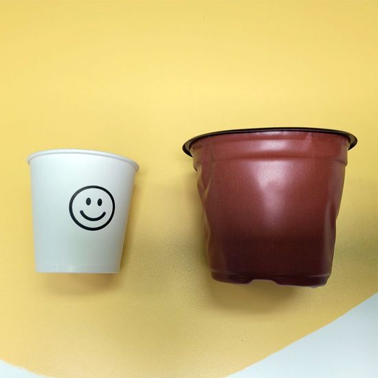 G1 모종 이색 포트 화분(지름 10.5cm)(WCD26AD)