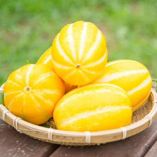 [자연예서] 성주 참외 5kg (14-15과)