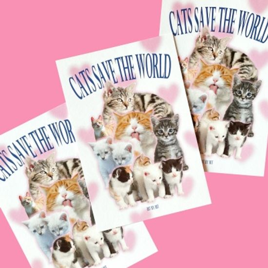 Cats Postcard