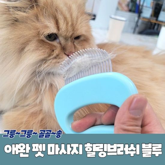 블루 펫 애완 마사지 힐링브러쉬(WF77F9F)