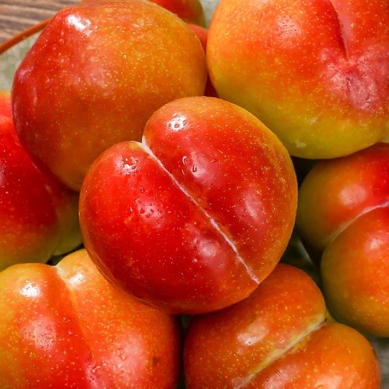 [초록자연] 추희 자두 3kg (24-27과) (특) 선물세트