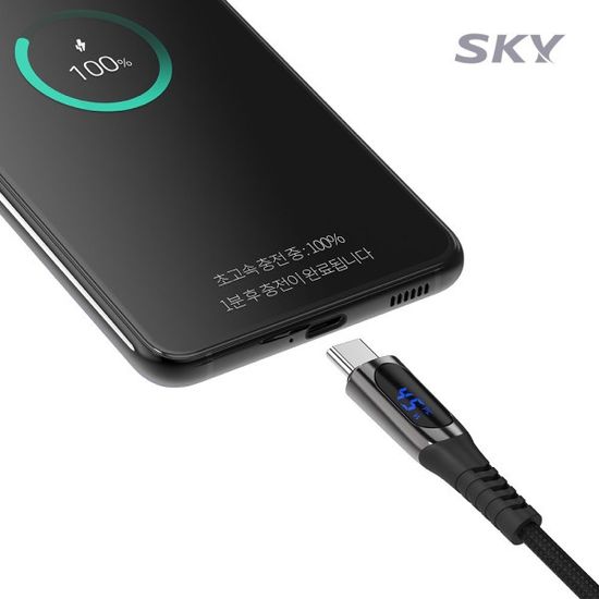 스카이 100W PD C to C타입 LED 고속충전 케이블