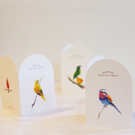 아이씨엘 드로잉 카드- Bird Ver.1