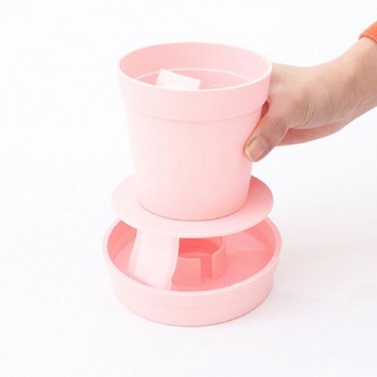 아이그루 셀프워터링 데스크팟 (핑크)