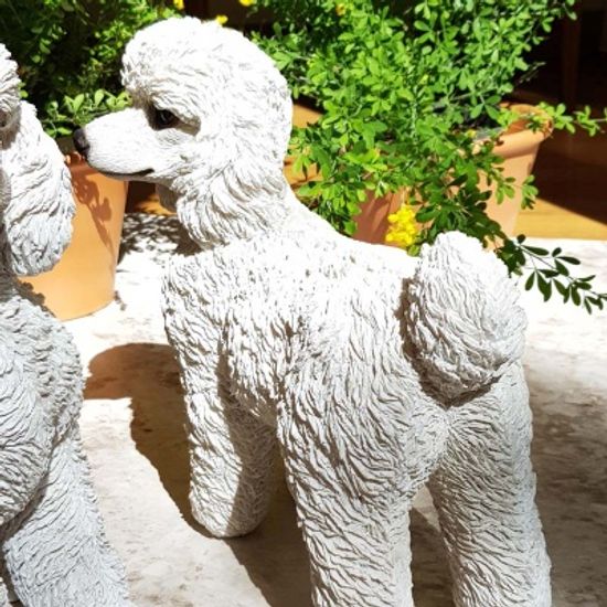 성견 화이트 푸들 장식인형 2종 택1