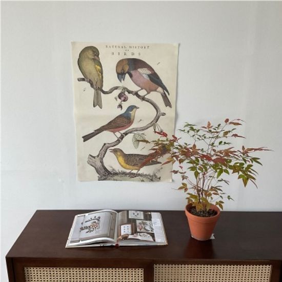 카발리니 일러스트 빈티지포스터 birds