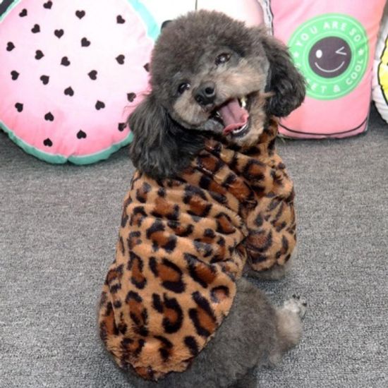 반려동물 강아지 고양이 호피 무늬 점퍼 후리스 인싸옷