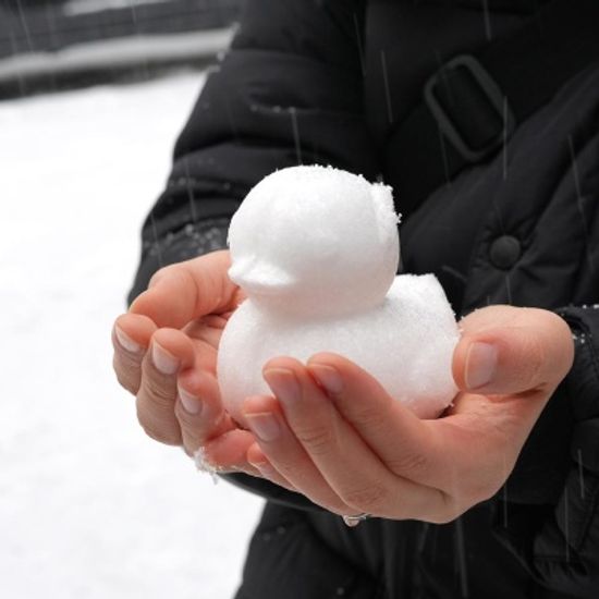 핑크풋 오리눈뭉치기