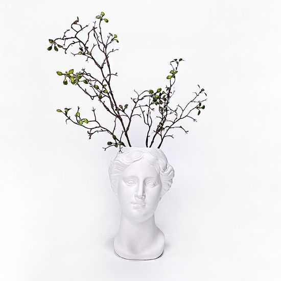 비너스 두상 오브제 인테리어 석고상 화병 화분