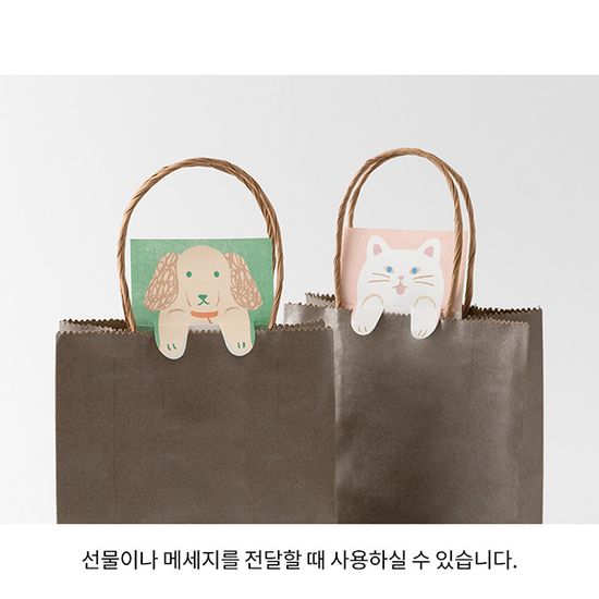 Stretchy Memo - 고양이
