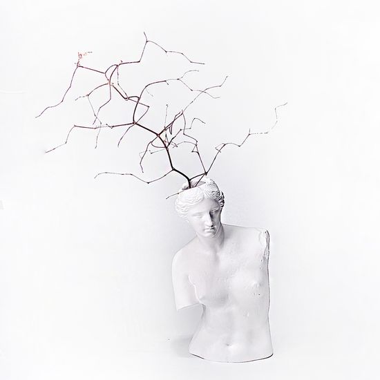 비너스 반신 오브제 인테리어 석고상 화병 화분