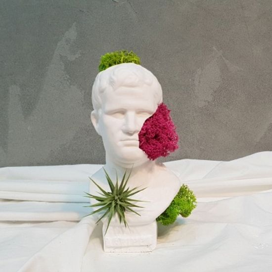 모스 하트 틸란드시아 컨셉 석고상 화분+모스+리본