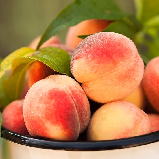 [자연예서] 황도 복숭아 2.5kg (12과) (특특)