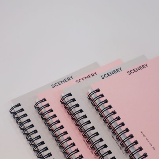 시그니처 100일 스터디 플래너 2type