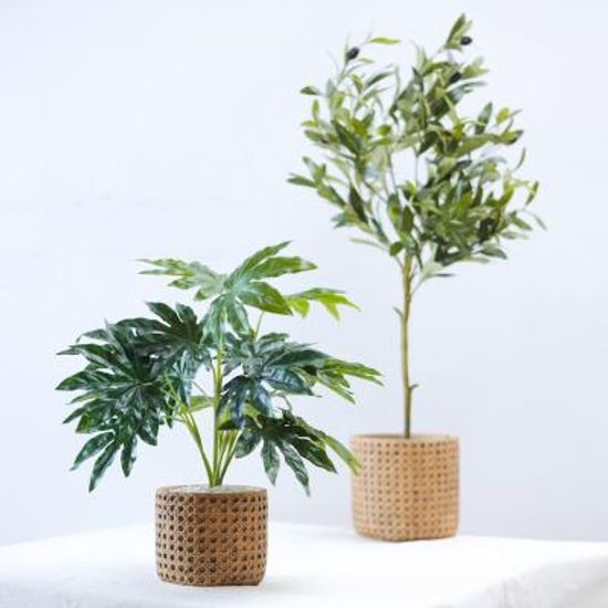 러스틱 시멘트 화분