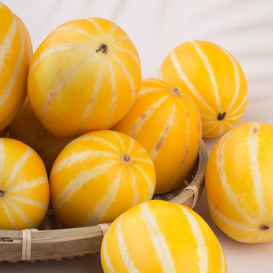 성주 참외 가정용 5kg (14~ 23과) 맛보장 꿀참외 과일