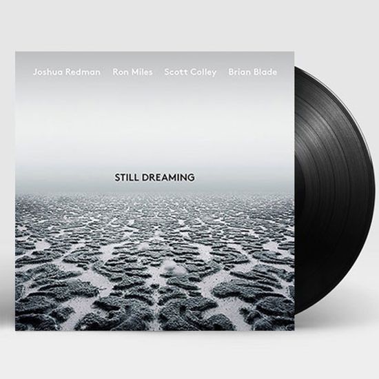 STILL DREAMING [LP]