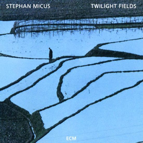 TWILIGHT FIELDS