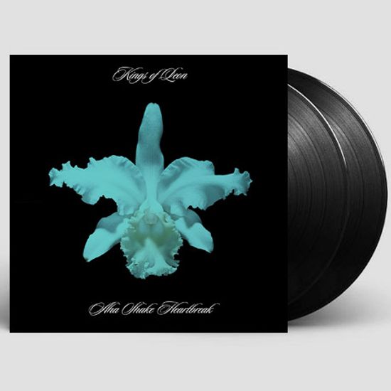 AHA SHAKE HEARTBREAK [180G LP]