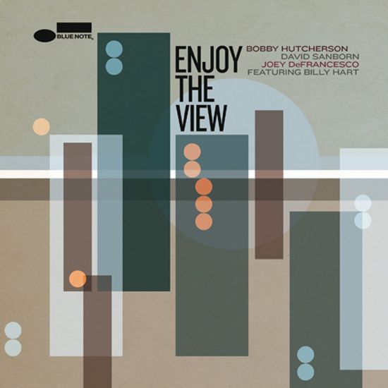 ENJOY THE VIEW [180G LP]