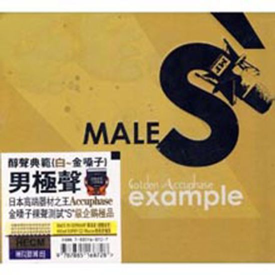 MALE`S EXAMPLE GOLDEN ACCUPHASE [HECM SUPER MASTERING]