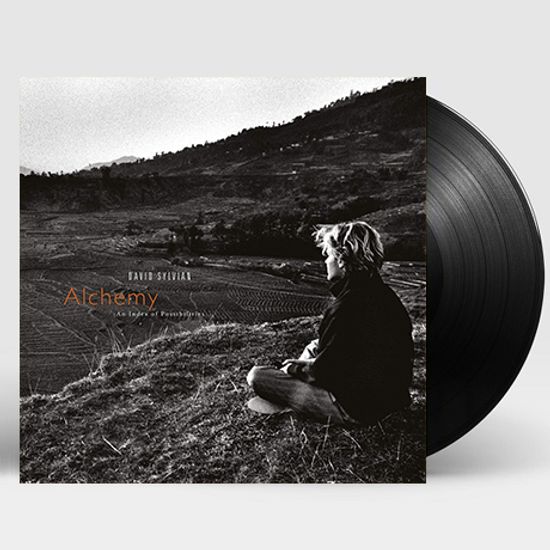 ALCHEMY: AN INDEX OF POSSIBILITIES [180G LP]
