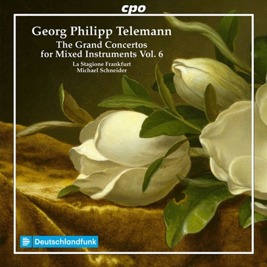 THE GRAND CONCERTOS FOR MIXED INSTRUMENTS VOL.6/ MICHAEL SCHNEIDER [텔레만: 그랜드 콘체르토 6집 - 미하엘 슈나이더]