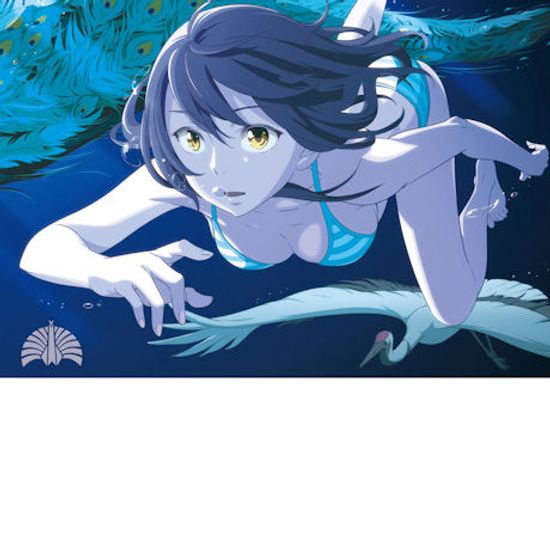 심야방송 [深夜樺] [일본 초회한정 수입반]