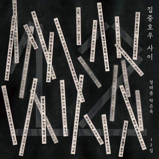 12집 집중호우 사이 [180G LP]