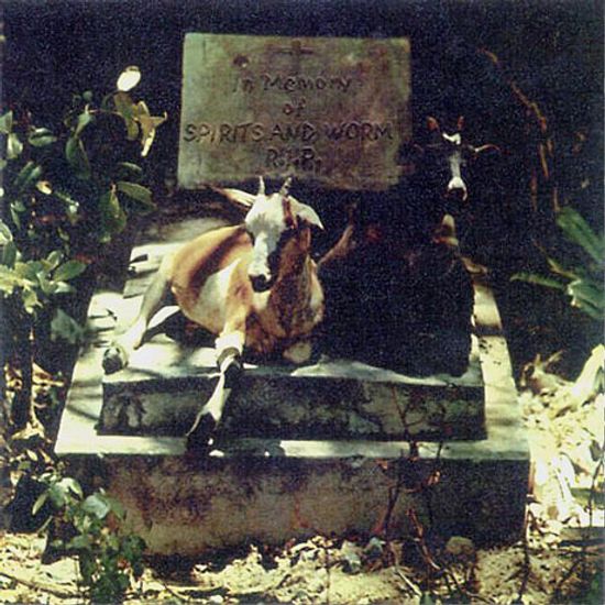 SPIRITS & WORM [180G LP]