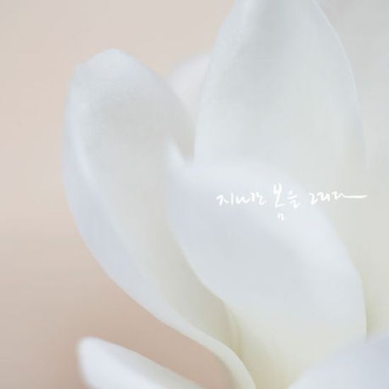 지나간 봄을 그리다