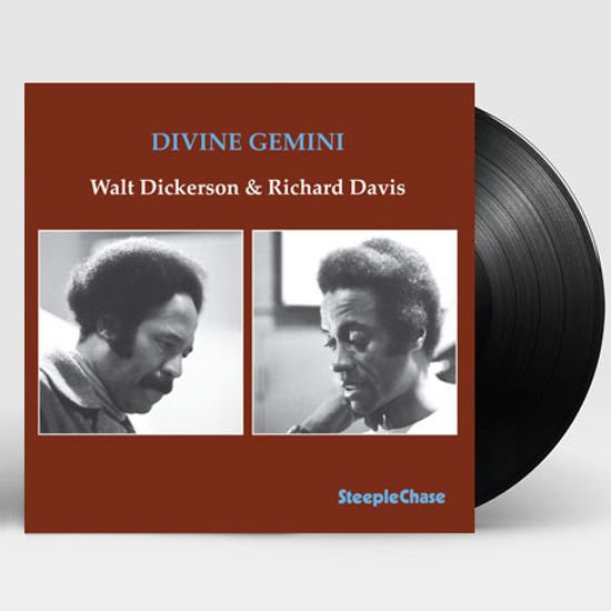 DIVINE GEMINI [LP]