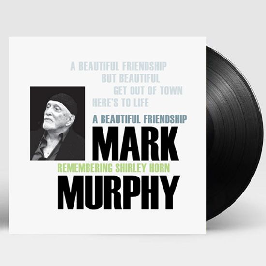 A BEAUTIFUL FRIENDSHIP [LP]