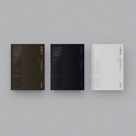 THE PIECE OF9 [미니 12집]