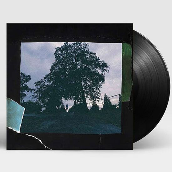 4 YOUR EYEZ ONLY [LP]