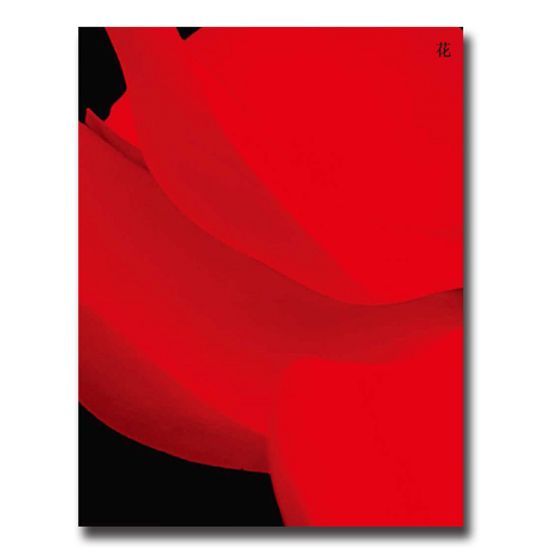 I BURN [미니 4집] [꽃 VER]