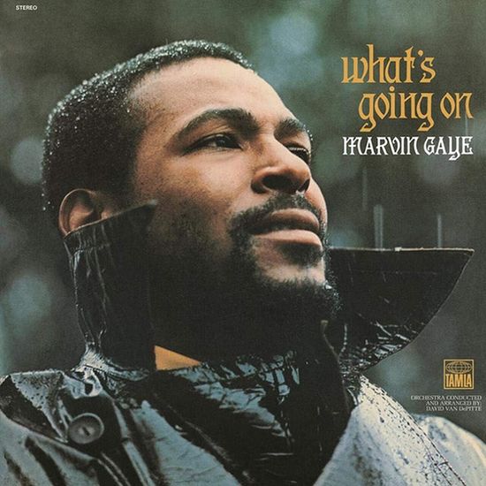 WHAT`S GOING ON [EVERGREEN LP]