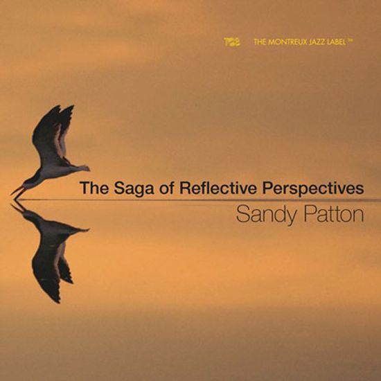THE SAGA OF REFLECTIVE PERSPECTIVES
